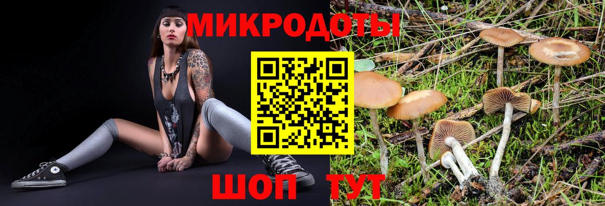 Калининград  Псилоцибиновые грибы GOLDEN TEACHER  Псилоцибиновые грибы Cubensis  Вход с VPN 